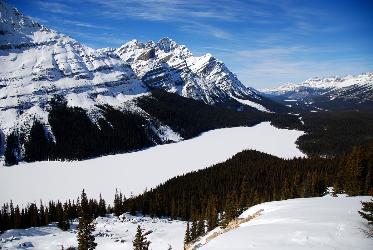 57 Peyto Lake, Caldron Peak, Mount Patterson, Mount Wilson, Mount Murchison From Near Icefields Parkway